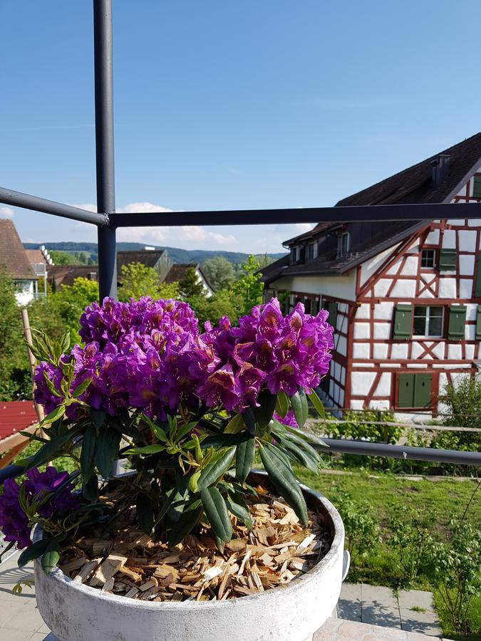 Garni-Hotel Muehletal Stein Am Rhein Exteriör bild