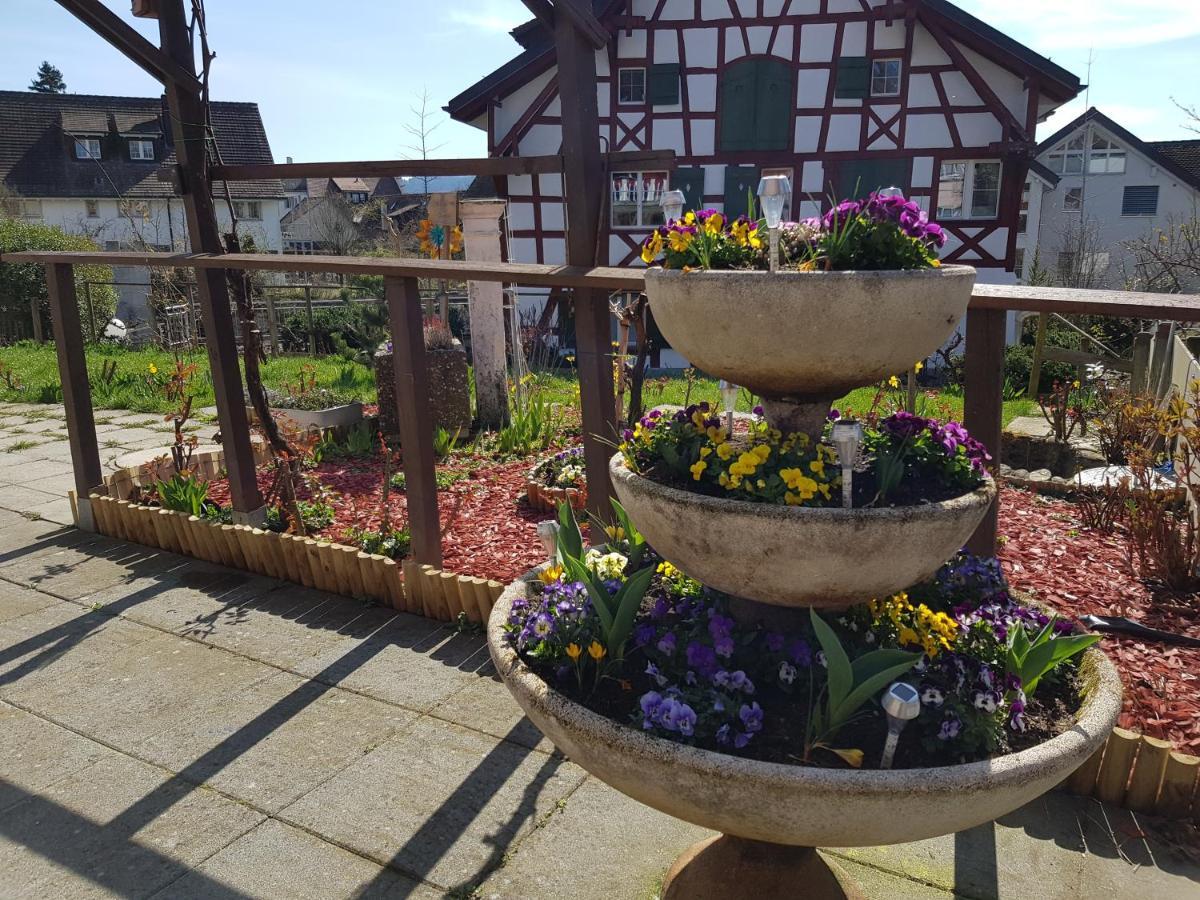 Garni-Hotel Muehletal Stein Am Rhein Exteriör bild