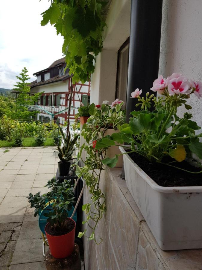 Garni-Hotel Muehletal Stein Am Rhein Exteriör bild